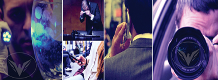 Pre Matrimonial Investigation